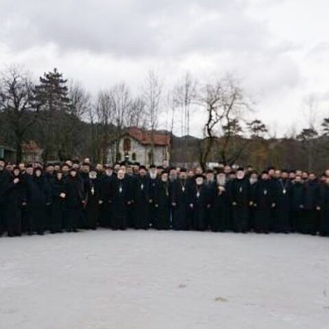 Sabranje Mcp Cetinje