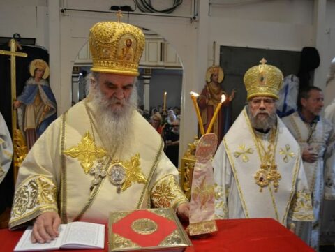 Mitropolit Novi