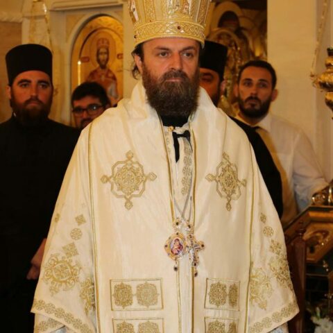 Vladika Stefan
