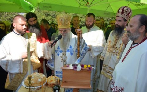 Donja Gorica