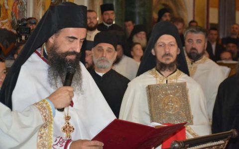 Vikarni Episkop Metodije