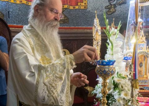 Епископ рашко призренски Теодосије