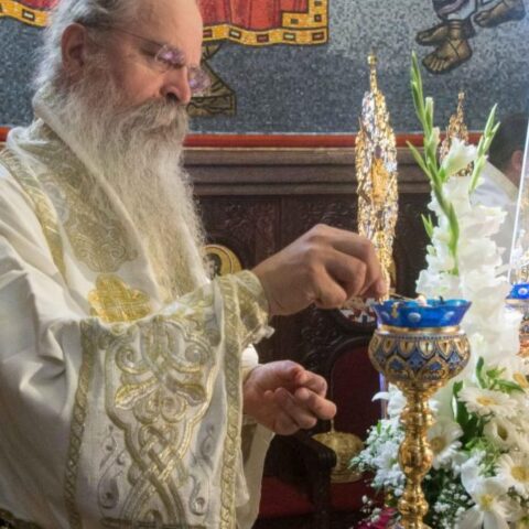 Епископ рашко призренски Теодосије