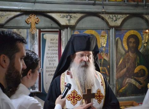 Vladika Teodosije Strpce