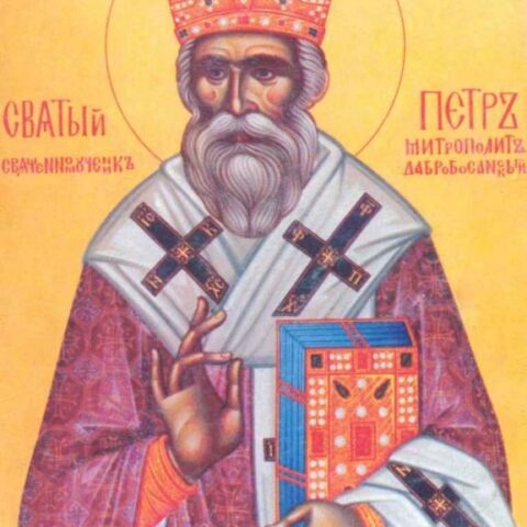 Свети Петар Дабробосански