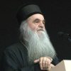Vladika David