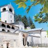 Cetinjski Manastir