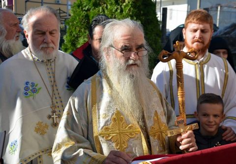 Djenovici