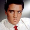 Elvis Prisli