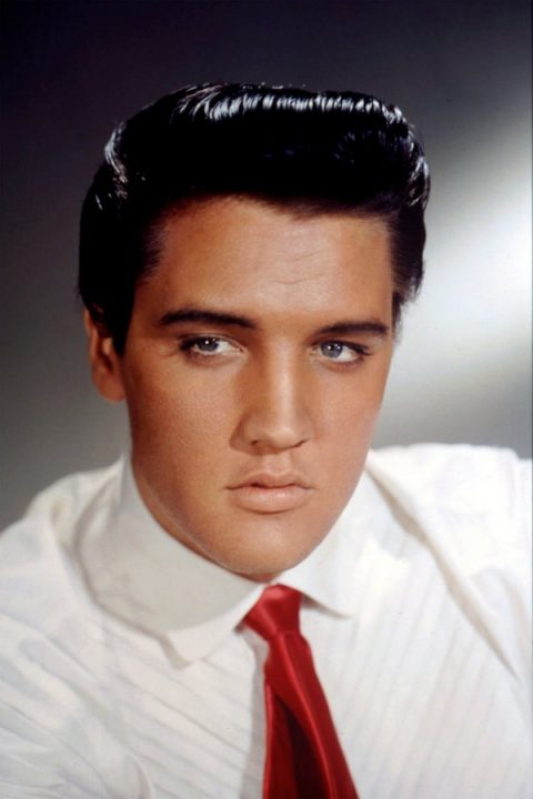 Elvis Prisli