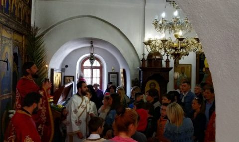 Cvijeti Cetinje