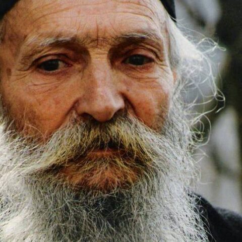 Starac Tadej Vitovnicki