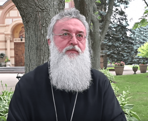 Vladika Longin