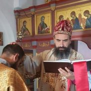 Vikarni Episkop dioklijski g. Metodije