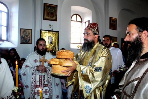 Vladika Metodije