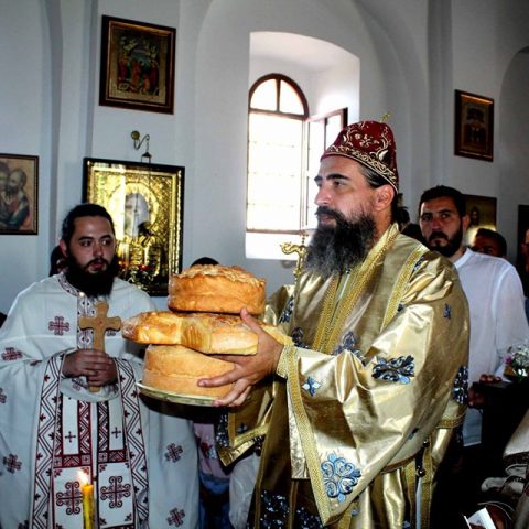 Vladika Metodije