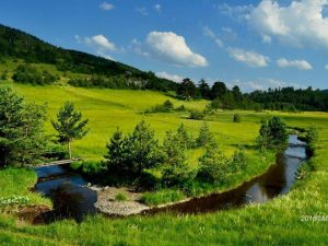 Zlatibor