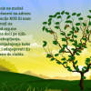 Pronadji Zir