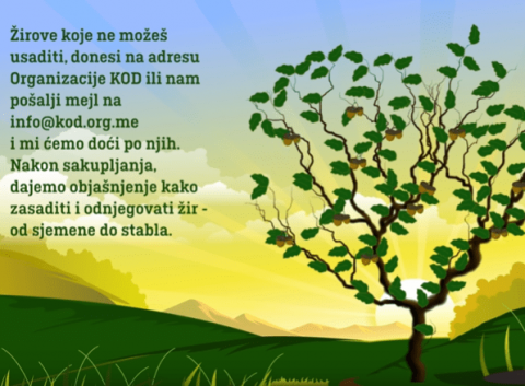 Pronadji Zir