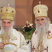 митрополит и патријарх