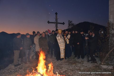 Пардус