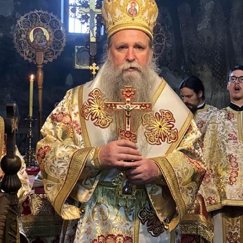 Владика Јоаникије