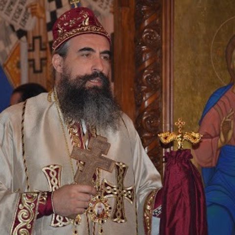 Владика Методије