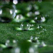 Macro Shot Of Water Droplets