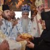 Ćelije slava