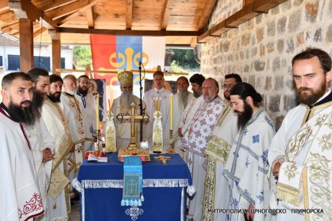 Митрополит Видовдан