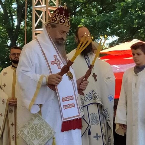 Вадика Атанасије Грачаница
