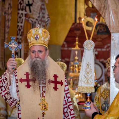 Владика Јоаникије