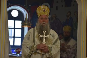 Владика Јоаникије