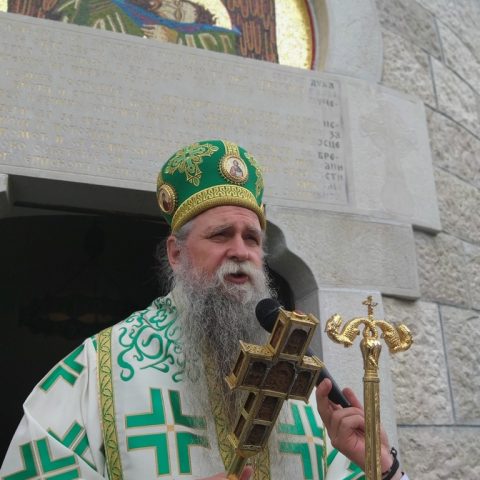 Vladika Joanikije