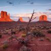 Wild West