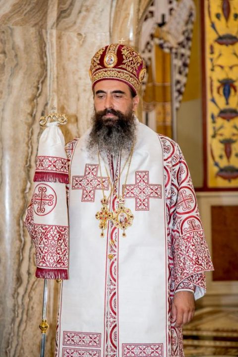 Владика Методије