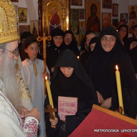 Mitropolit Gornji Brceli