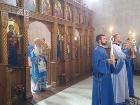 Patrijarh Mirijevo