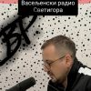 Vojkan Radović