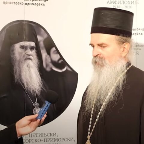Владика Теодосије