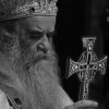+Vladika naš