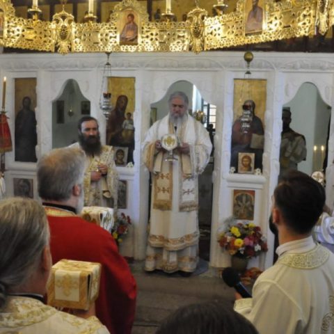Zdrebaonik Slava