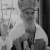 patrijarh Irinej