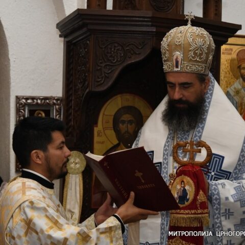 Vladika Metodije Bozic