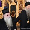 Mitropolit Hrizostom