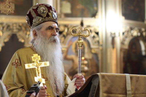 Vladika Irinej Bulovic