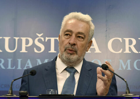 Премијер Кривокапић