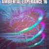 Ambiental Experiance 16