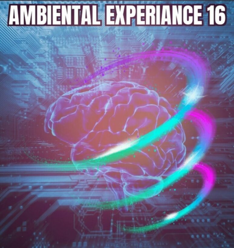 Ambiental Experiance 16