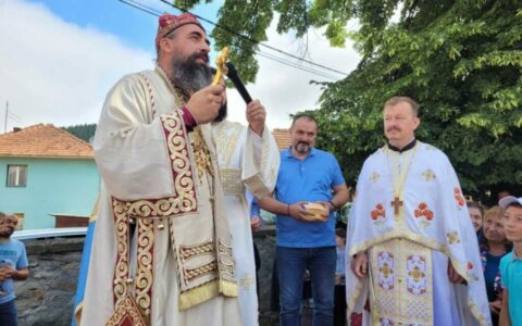 Владика Методије